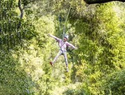 Rotorua Ziplines